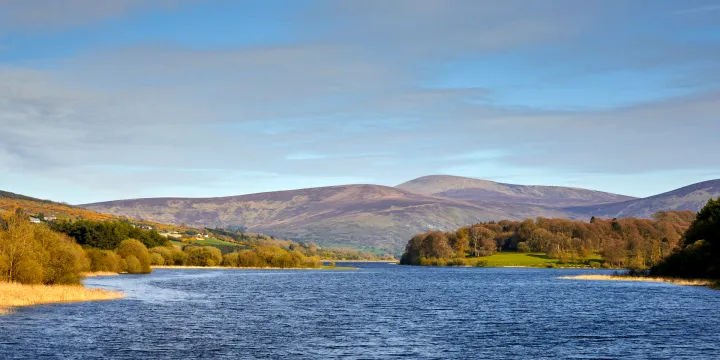 Blessington Lake